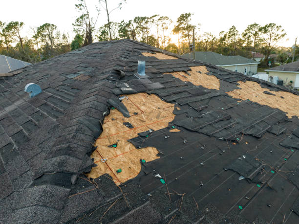 Best Roof Waterproofing  in Audubon, NJ